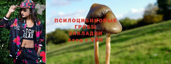 тгк Бикин
