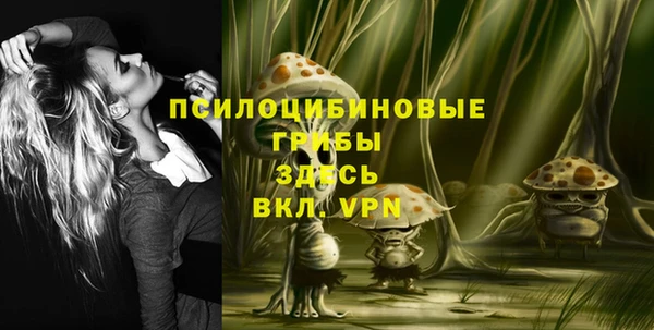 ALPHA PVP Армянск