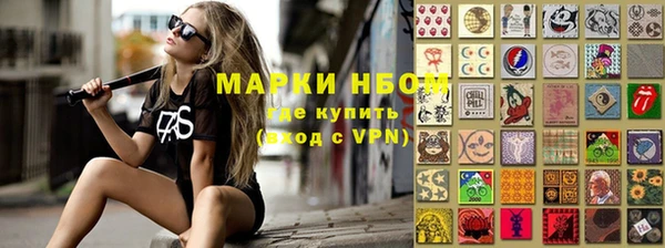 тгк Бикин