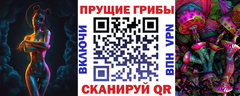 blacksprut рабочий сайт  Дзержинский  Псилоцибиновые грибы ЛСД 